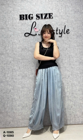 S-0020--1090 Q.Suông lai x.li 00288