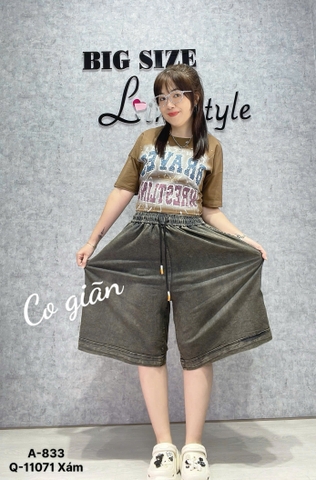 S-0020--11071 QS.LT trơn 00280