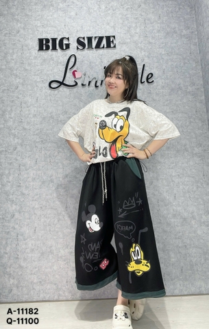 11100 - Q.suông Micky Cho- 00280