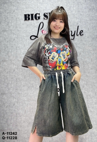 S-0020--11228 QS.LT Sọc 00280