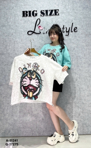 11241 A.Crop rút DRM 00270