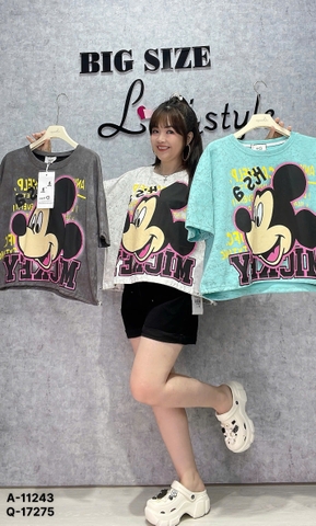 11243 A.Crop rút Micky TO 00270