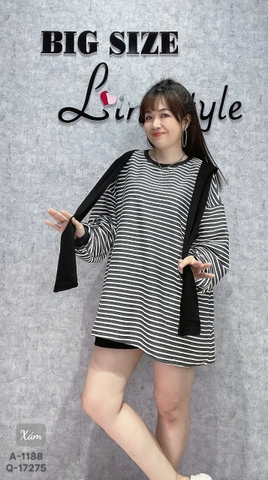 S-0020- 1188- A.TD sọc kèm TT 00264