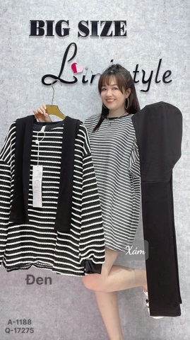 S-0020- 1188- A.TD sọc kèm TT 00264