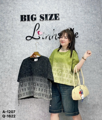 1207 A.Crop OVS Số 00270