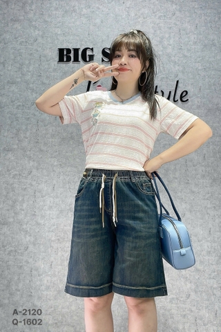 1602- QS. LT dây 00342