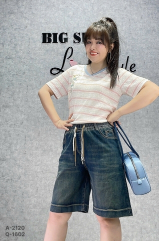 1602- QS. LT dây 00342