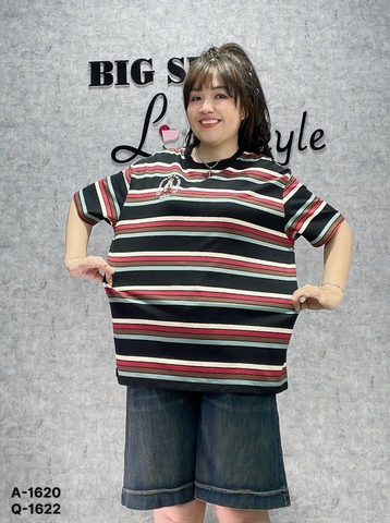 1620 A.Sọc màu ĐẬM G- 00297