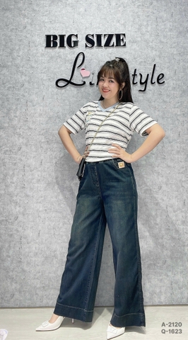 1623 Q.Suông LT 00360