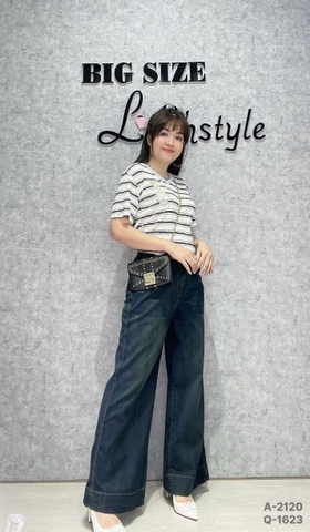 1623 Q.Suông LT 00360