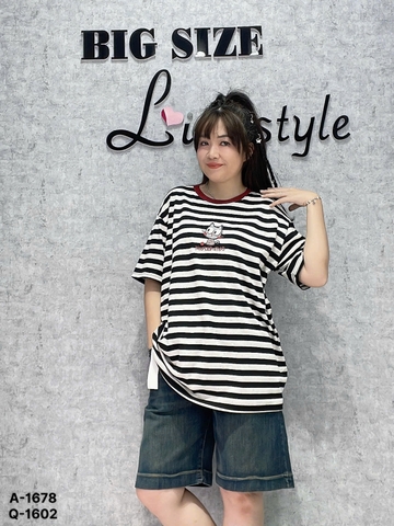 1678 A.sọc thêu Meo- giữa 00288