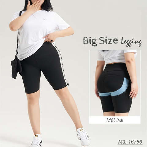 16786 Q.Leg 00180 ngố LC