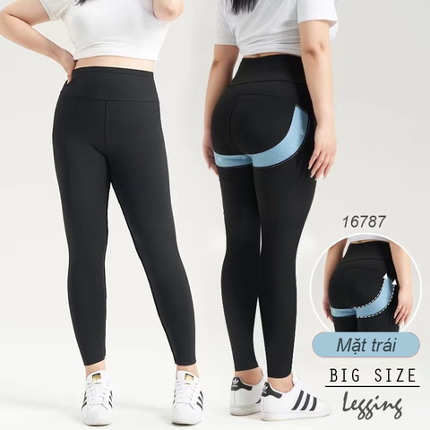 16787 Q.Leg T20 trơn 00198 lưng cao