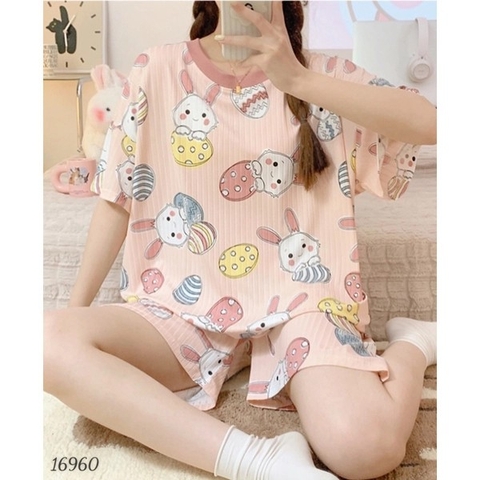 S-0020--16960- SS.DAI Thỏ Trứng 00220