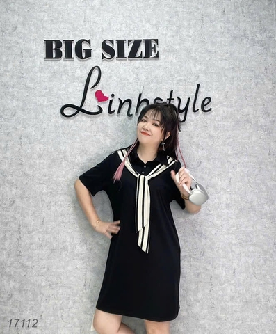 17112 Đầm D.suông TT 00360