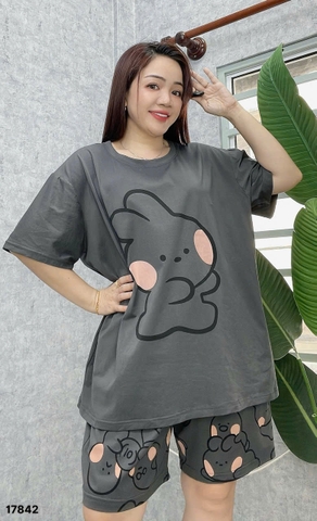 S-0020--17842 SS.DAI Tho- #6538-00388-XÁM