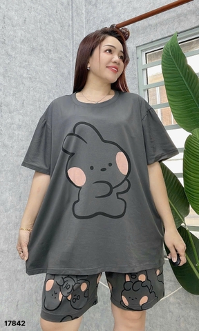 S-0020--17842 SS.DAI Tho- #6538-00388-XÁM