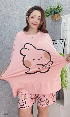 S-0020--17842 SS. Tho- 00388 HỒNG
