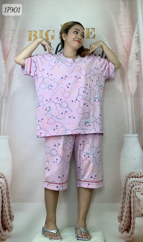 17901 SL.DAIxin Tho- TÍM