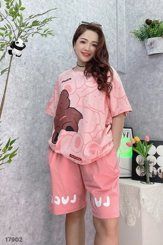 S-20--17902 SS.G- 00420- HỒNG