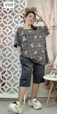 17978 SL.DAIxin G- CR - XÁM