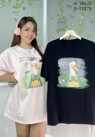 S-0020--18615- A.Vit- 00220