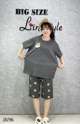 Bộ lửng BIGSIZE QCCC thun cotton mịn đẹp loại 1 thấm hút mồ hôi tốt cổ tròn Tho SL.DAI- 18196 - XÁM