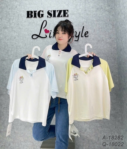 18282 A. Polo 00270 Ma.gic