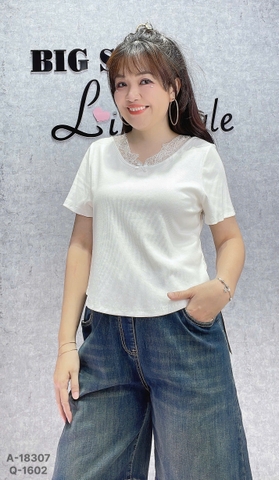 18307 A. Cổ tim 00270 Ren #63785 Trơn TRẮNG