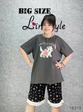 18315 SS. 00378 Meo- Q.hoa #6603- Ren