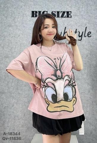 S-0020--18344- A. OVS Vit- 00312