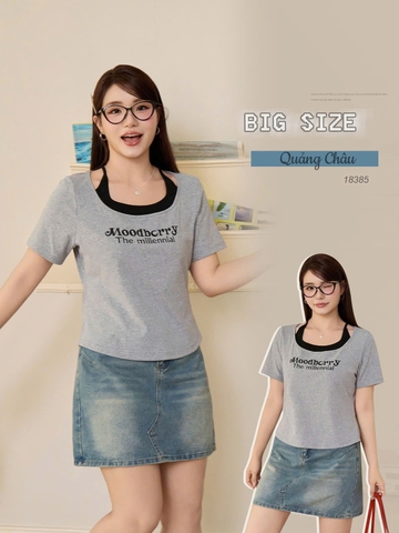 Áo thun BIGSIZE QCCC cổ yếm chất đẹp co giãn nhiều tôn sáng eo thon - 18385