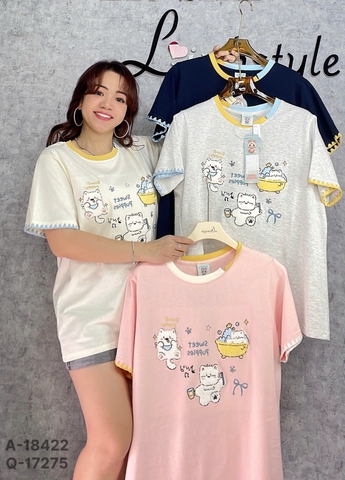 Áo thun BIGSIZE Quảng Châu 00288 cổ tròn 3 Meo-Tam - 18422