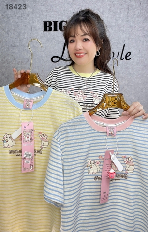 18423 A. Sọc 3 Meo- 00288