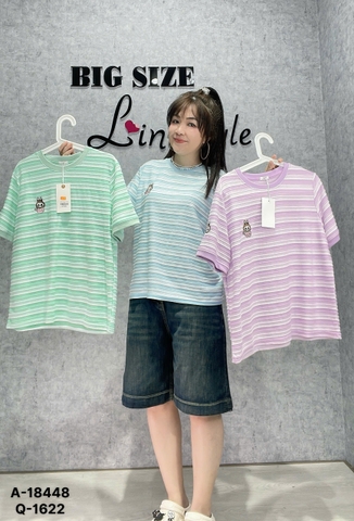 18448 - A.sọc LBB thêu 00288