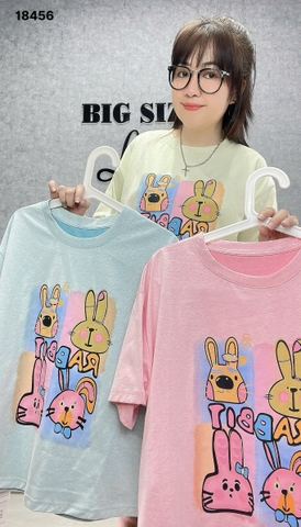 18456 A.thun 4 Tho- 00297