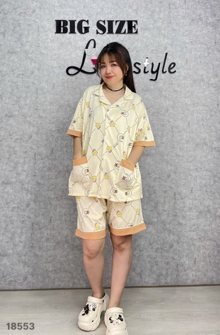 S-0020--18553 ss.Pi 00388-KEM