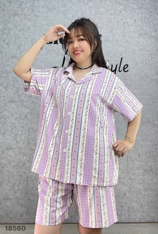 S-0020- 18560- SS.Pi  Sọc 00388