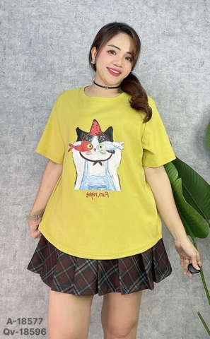 S-0020--18577- A.Ca- 00248