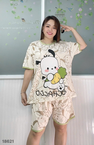 S-0020--18621- ss.Cho- 00188