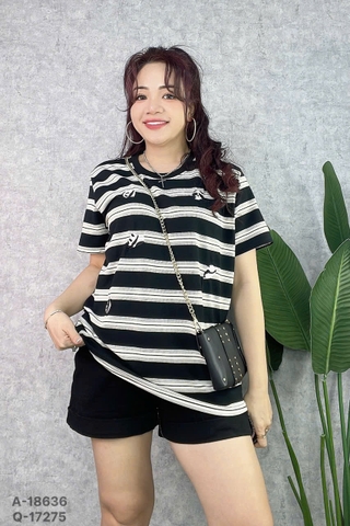 S-0020--18636- A.Sọc Pan..da- 00288