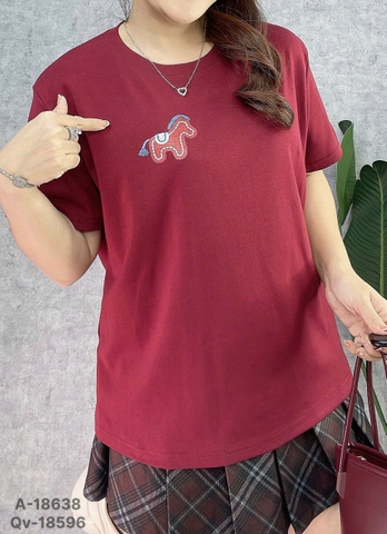 S-0020--18638- A.Ngua logo 00248