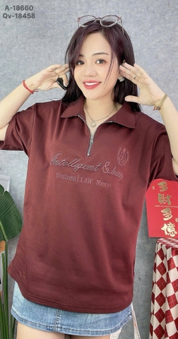 S-0020--18660--  A.polo kéo 00236