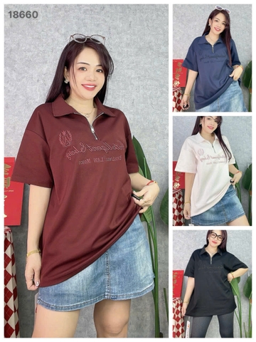 S-0020--18660--  A.polo kéo 00236