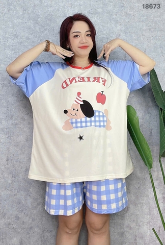 S-0020--18673- SS.Cho- FRI 00188