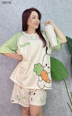 S-0020--18676- SS.Carot- 00188