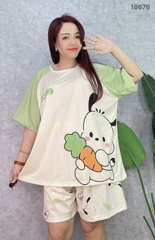 S-0020--18676- SS.Carot- 00188