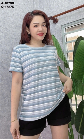 S-0050--18708- A.Sọc 00180