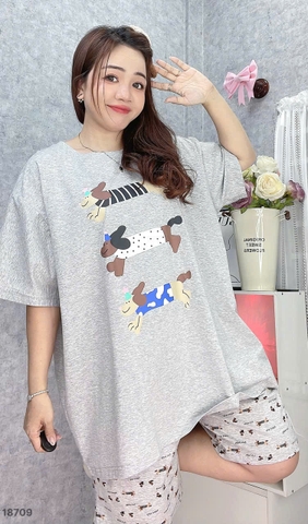 S-0020--18709- SS. 3 Cho- 00399