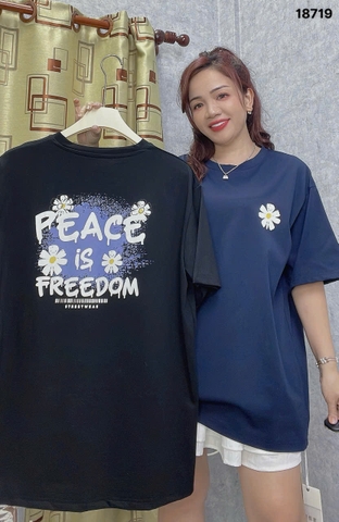 S-0020--18719- A.OVS Hoa- 00288